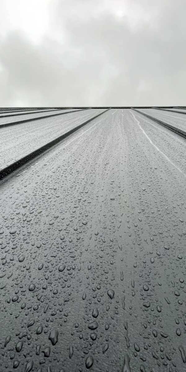 Кровельные работы в Царникаве